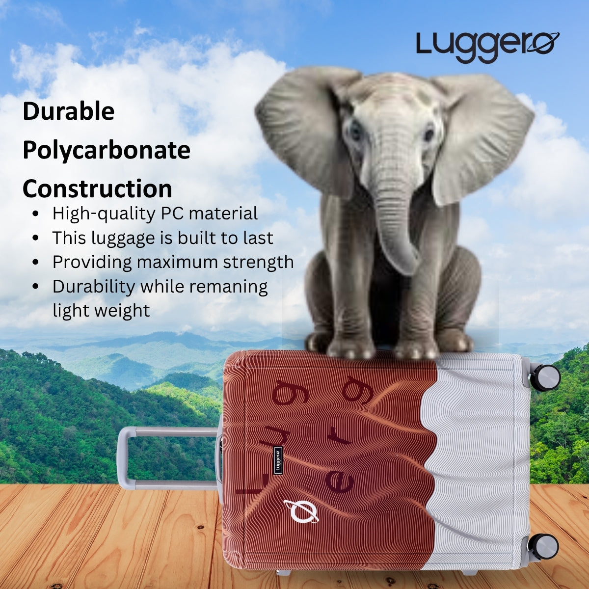 FUZZY BROWN Light Weight & Durable Polycarbonate Hard Luggage