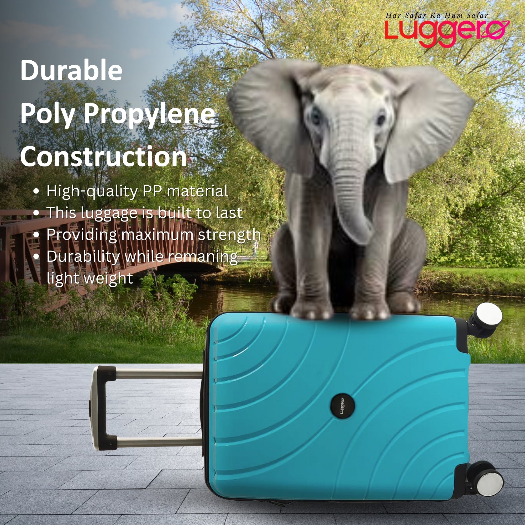 DILLI EXPRESS SKY BLUE Light Weight & Durable Polypropylene Material Shell