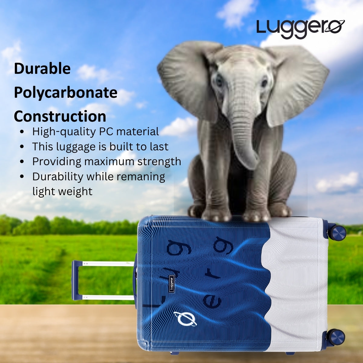 FUZZY BLUE Light Weight & Durable Polycarbonate Hard Luggage