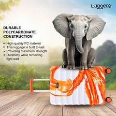 Aura Orange Cabin, Medium & Large Set