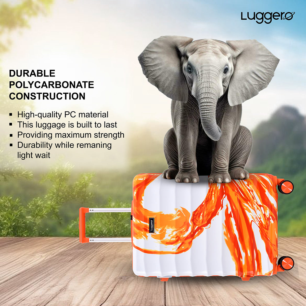 Aura Orange Medium & Large Set
