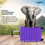 Bonvoyage Purple Cabin, Medium & Large Set
