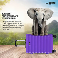 Bonvoyage Purple Medium & Large Set