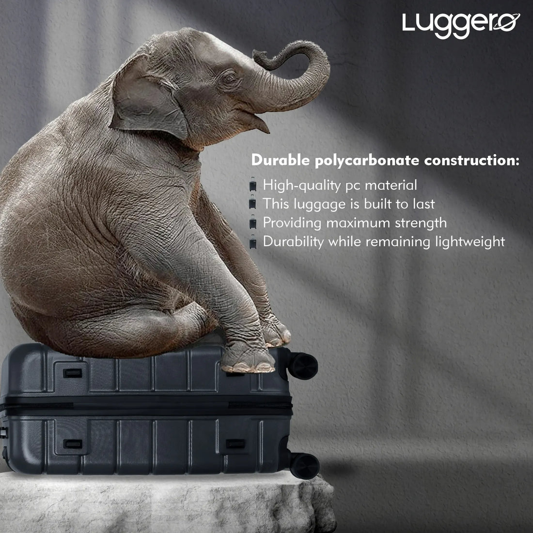 Luggero Eternal Solid Light weight Luggage Dark Grey