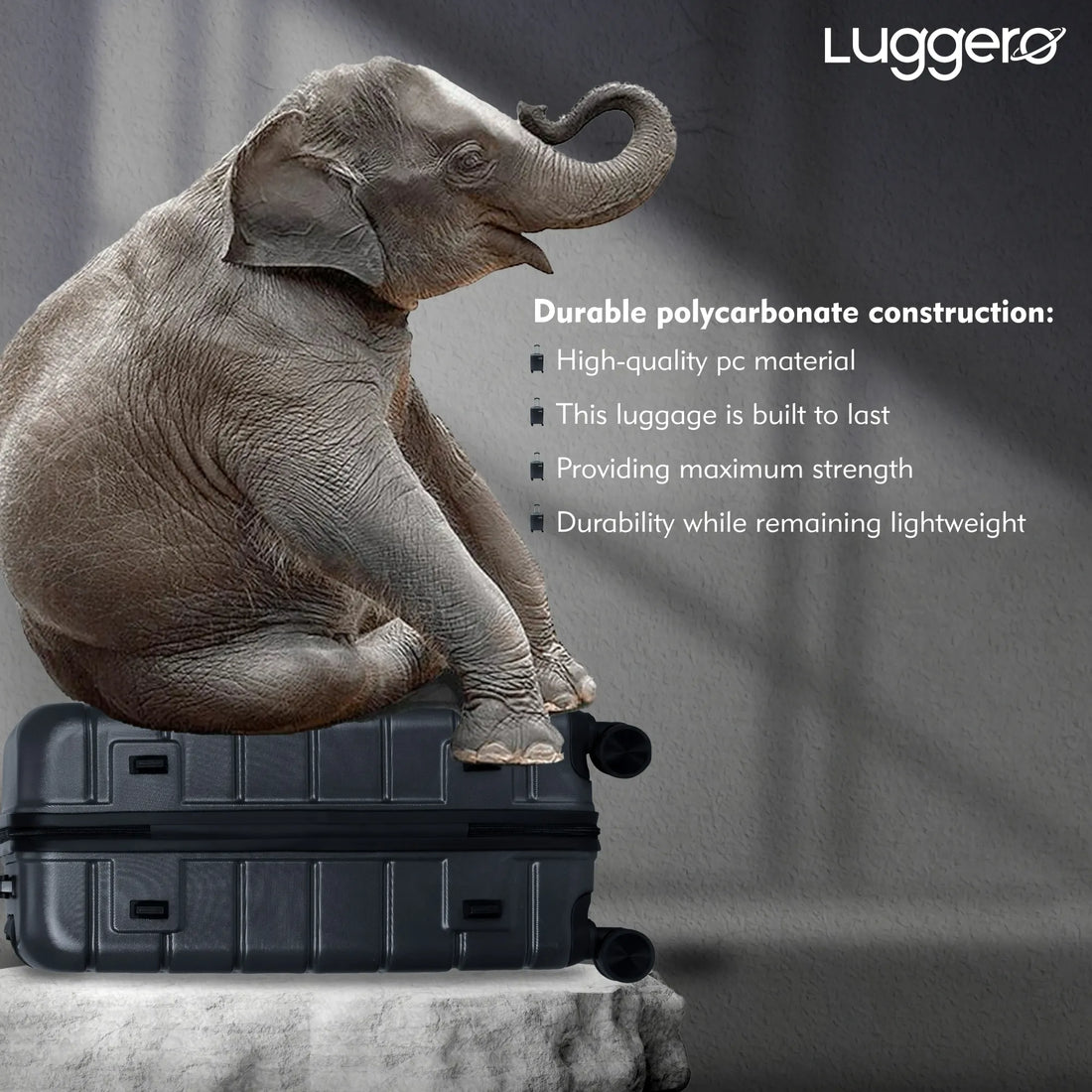 Luggero Eternal Solid Light weight Luggage Dark Grey