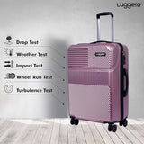 Amiggo Rose Gold Medium & Large Set